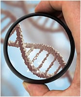 Precision Medicine & Genetics