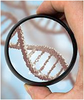 Auto & Work Injuries